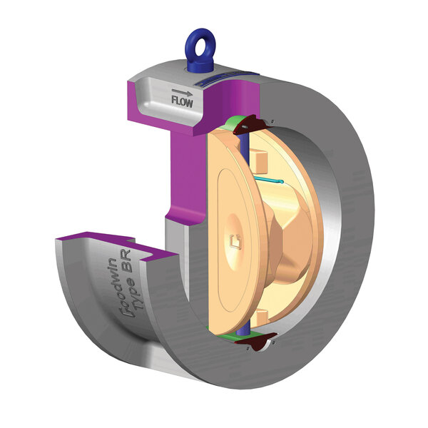 Photo of Goodwin International valve